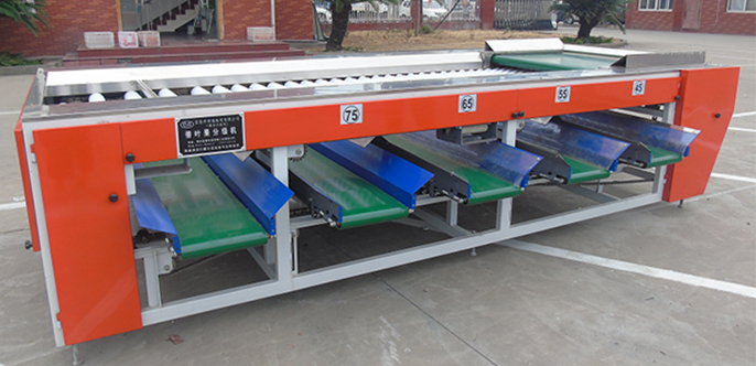 水果分級(jí)機(jī)是怎樣給水果進(jìn)行分級(jí)的